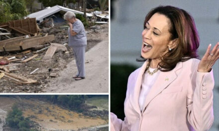 Kamala Harris Partied with Hollywood Celebrities in Wake of Hurricane Helene Devastation: ‘Oh, It’s Good to Be Home!’