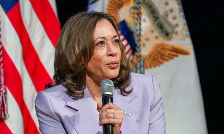 Harris on Her Tariff Stance: You Need to ‘Have a Plan’