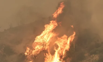 Calif: National Guard Deployed To Fight So-Cal Fires ‘Threatening Thousands’ Of Residences