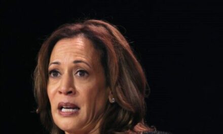 Kamala Harris Blasted for ‘Demonizing Rhetoric’ After 2nd Attempt to Kill Trump: ‘You’re so Full of S**t’