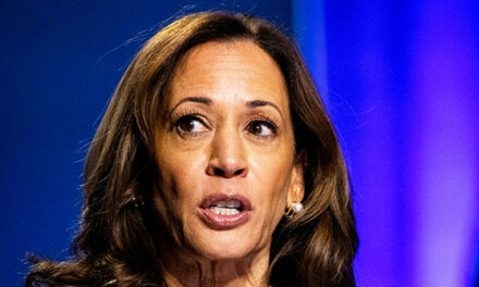 Kamala Harris Faces Corporate Media Backlash for Avoiding Her Record