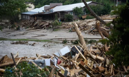 Hurricane Helene Death Toll Rises To Over 50, Billions Of Dollars In Damages Caused 