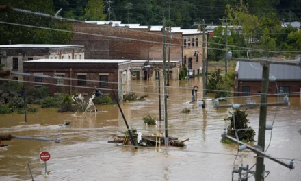 Grey Bull Rescue Foundation Preps for Hurricane Milton Amid FEMA Concerns