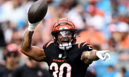 Idiot Fan Throws Drink On Bengals RB: WATCH