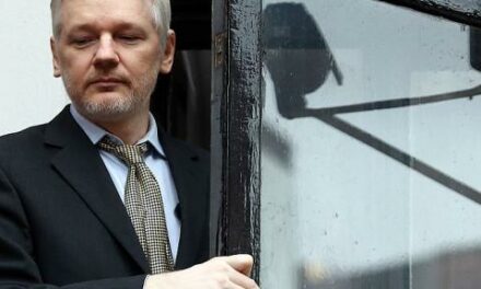 Julian Assange to make first appearance since being freed next week