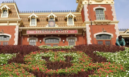 Runner Dies After Collapsing At Finish Line Of Halloween Half Marathon At Disneyland