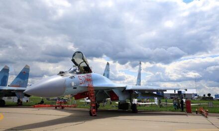 Russian Fighter Jet Buzzes American Plane In Wild Video: WATCH