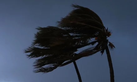 Forecasters Predict Tropical Storm Francine Will Turn Into Hurricane 