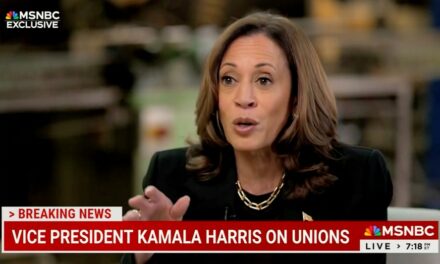 Kamala Harris confronted on not earning Teamsters endorsement: ‘What was their reasoning?’