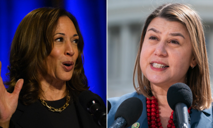 Michigan Democratic Senate hopeful warns Harris is falling behind in critical state: ‘Underwater’