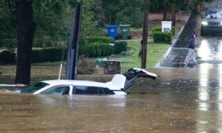 WATCH — ‘I’ll Be Back’: Weatherman Saves Woman Trapped by Hurricane Helene’s Floodwaters During Live Report