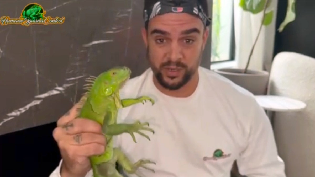 Michael Ronquillo holds iguana