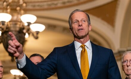 As leader race looms, John Thune takes Senate map by storm to boost GOP candidates