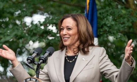 Nolte: Kamala Harris Has Absolutely No Idea How a Bill Becomes a Law