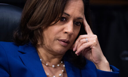 Kamala Harris LOSES SUPPORT in latest post-DNC poll