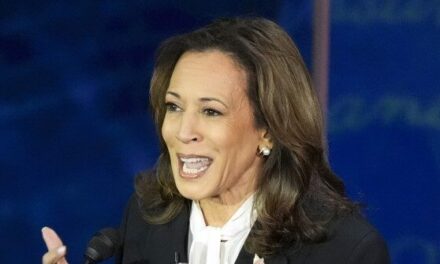 Kamala Harris First Solo Interview with Local Pennsylvania Reporter Turns into Disaster