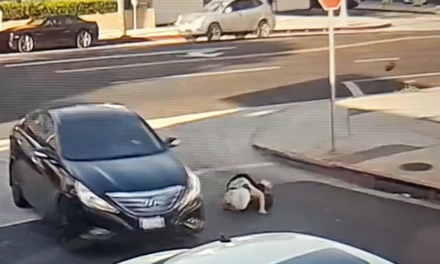 Video captures Los Angeles hit-and-run that ‘severely injured’ a 63-year-old woman