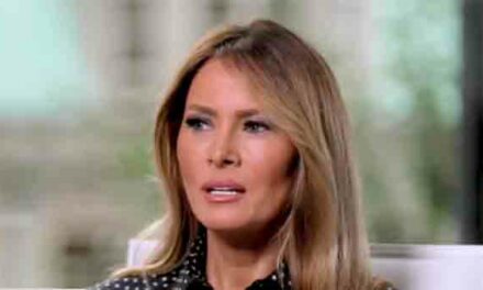 Melania Trump Destroys Media for Inciting Attacks on Husband