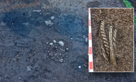 1,000-year-old Viking treasure found hidden in dirt: ‘Unique finding’