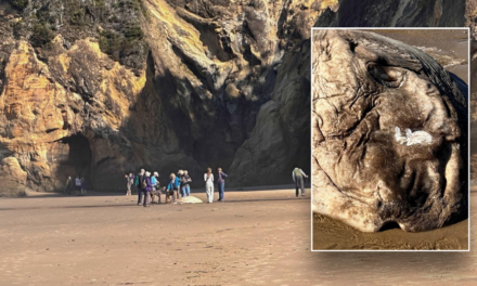 Strange alien-like fish washes up on Oregon beach, creates ‘quite a stir’