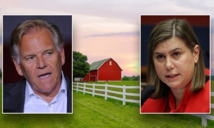 ‘Pretty damn significant’: Slotkin suffers blow in Michigan as farm bureau jilts Dems to endorse GOP candidate