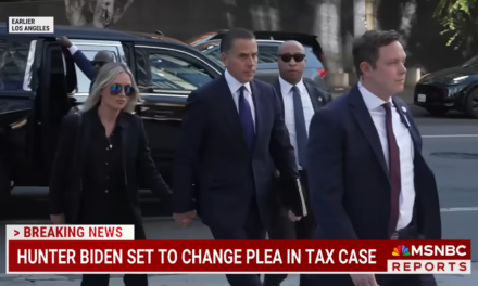 After Attempted Alford Plea, Hunter Biden Reluctantly Pleads Guilty To Avoid Messy Trial