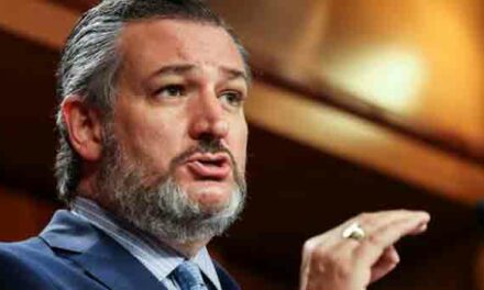 Ted Cruz: Democrats Using Illegal Immigration to Win Every Election Forever