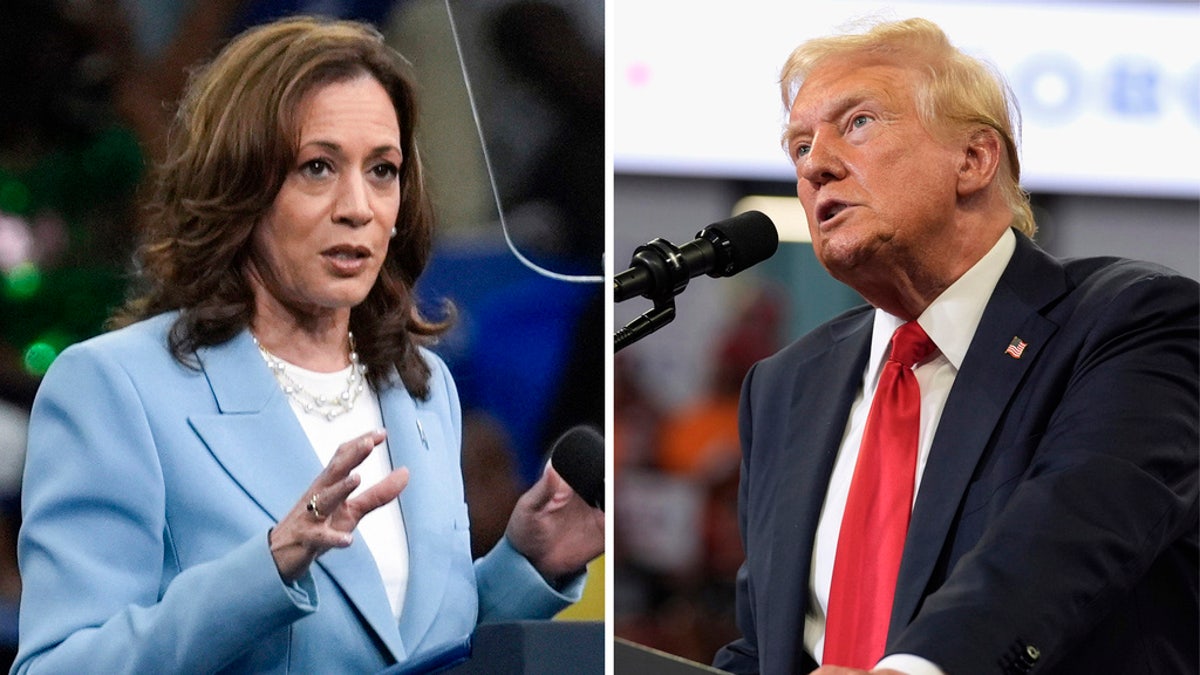 Harris/Trump split image