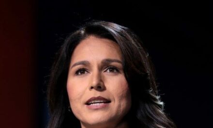 Tulsi Gabbard: Kamala Harris Is ‘Shameless’ for Border Trip ‘Photo Op’