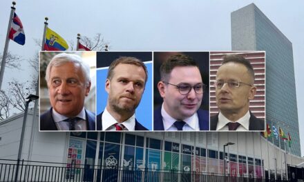 European leaders weigh in on ‘legitimate’ issue of illegal immigration: ‘Must be stopped’