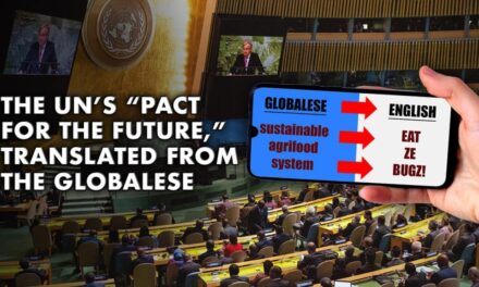 The UN’s “Pact for the Future,” Translated From the Globalese