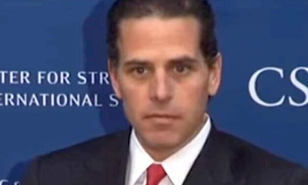 Hunter Biden Pleads Guilty to Tax Charges, Avoids Public Trial