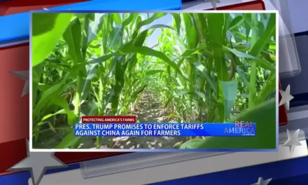 Pres. Trump Meets With Farmers