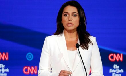 Tulsi Gabbard Claims Kamala’s Debate Practice Makes Her Look Like a Certain Profession and Lefties FREAK