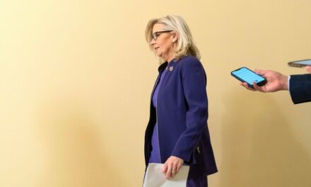 SHOCKING NEWSFLASH!: Liz Cheney Comes Out for Kamala Harris