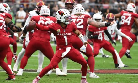 Cardinals Fans Brawl In The Upper Deck During Blowout Loss To The Commanders