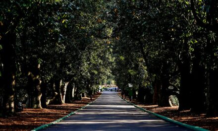 Augusta National assesses damage to course after ‘catastrophic and historic impact’ of Hurricane Helene