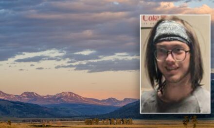 Search for missing Yellowstone worker enters second week