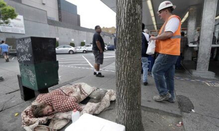 ‘Ticking Time Bomb’: Volunteers Cleaning Up Seattle Homeless Encampment Discover Propane Tanks Amid Trash