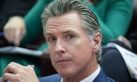 Gavin Newsom Believes He Can Make Parodies Illegal