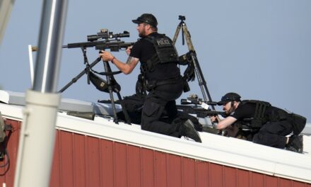 Chuck Grassley: Secret Service Assured Local Authorities They Would Secure Rooftop at Butler, PA Rally