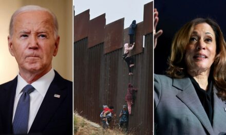 White House mum amid outrage over data showing how many illegal immigrant criminals are free in US