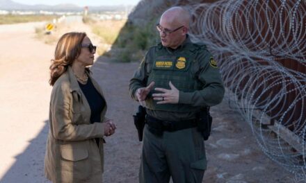 Border Patrol union torches Harris for ‘photo op’ visit to southern border ahead of election: ‘Problem she created’