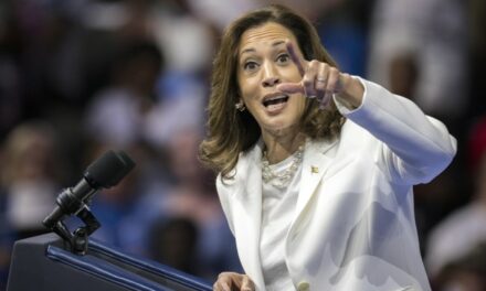 Goldman Sachs CEO Skewers Kamala Harris’ Claim His Company Endorsed Her ‘Plan’