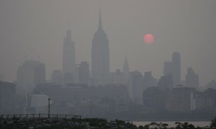 Blue City Blues: Workers in ‘Oldest Profession’ Operate Openly Across From 2 NYC Elementary Schools