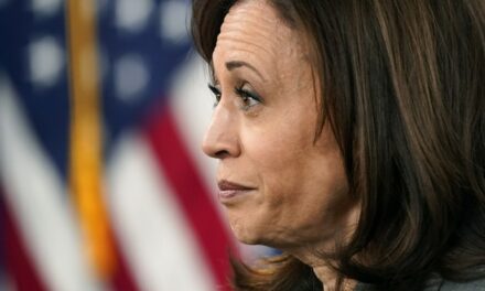 How One Crafty Reporter Is Exposing ‘Empty Shell’ Kamala Harris One Day at a Time