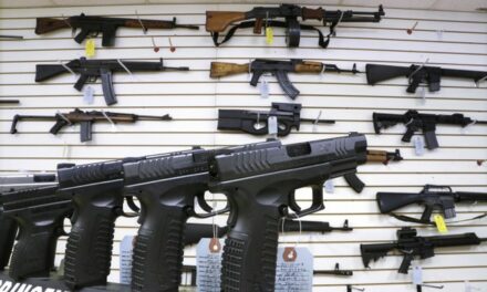 Florida City Declares Hurricane Emergency, Bans Gun Sales and Even Displays