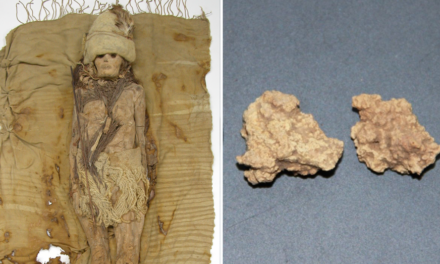 Cheese discovered inside coffin with ancient mummies dates back thousands of years