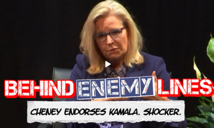 Gene Berardelli: Liz Cheney’s Utterly Meaningless Harris Endorsement Proves She’s A Hypocrite