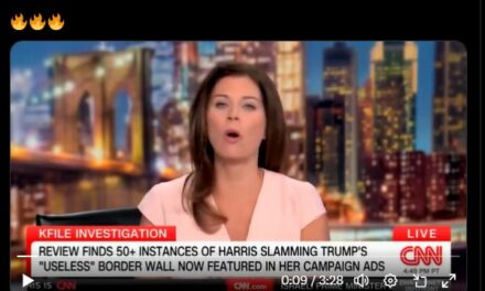 CNN TURNS ON KAMALA and rips her over her flip-flop on the Trump border wall